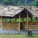 Best Jungle Resort in Wayanad