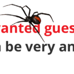 Pest Control Perth | Pest Control Services | Pest Inspections Perth