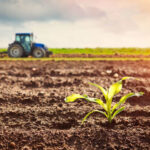 Agricultural Biologicals Market Global Industry Forecast 2022