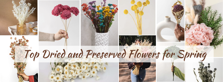 Dried and Preserved Flowers