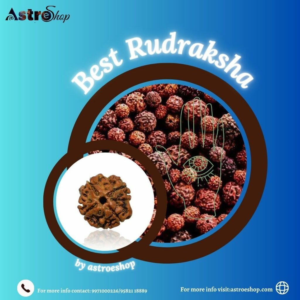 best rudraksha in india