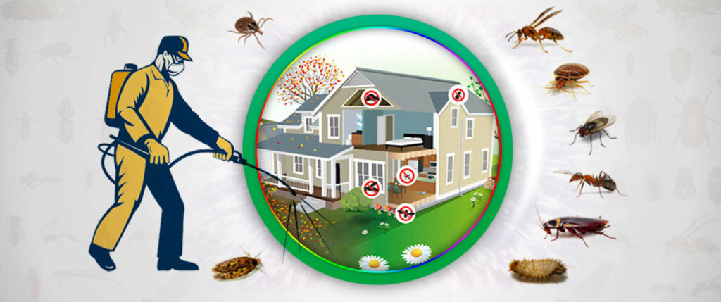 Pest control services in Lahore