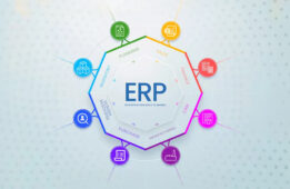 SAP ERP System