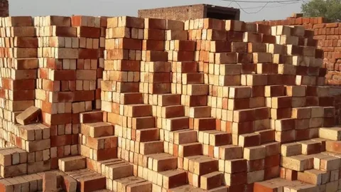 Niazi Bricks