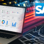 What Is A Dataset In SAP?