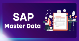 SAP Master Data