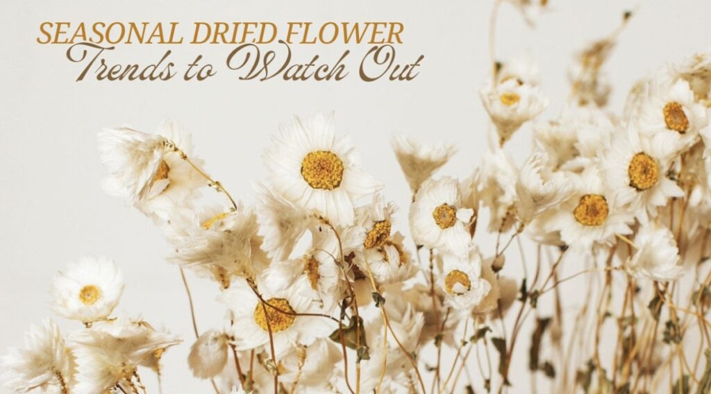 Natural Dried Flowers