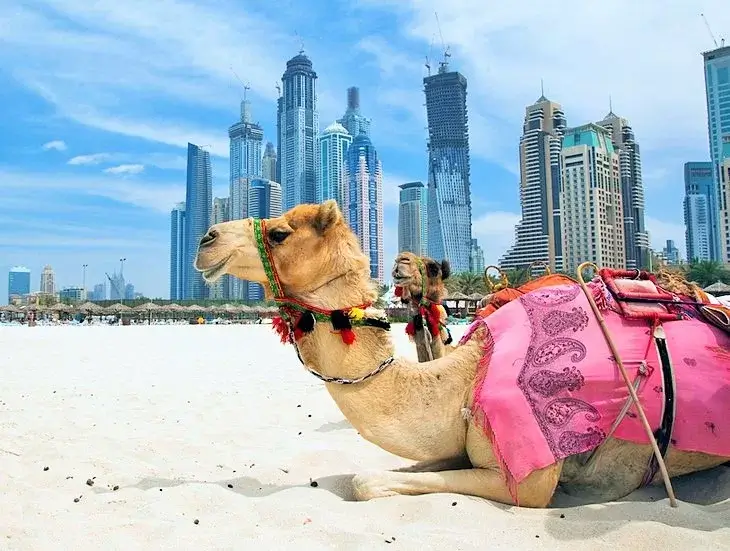 Dubai Vacation Packages