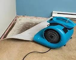 water mitigation Vancouver